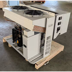 Unidades de refrigeración monobloque de cámara fría de fácil instalación, miniunidad condensadora montada en la pared y evaporador conectado - Product Image 6