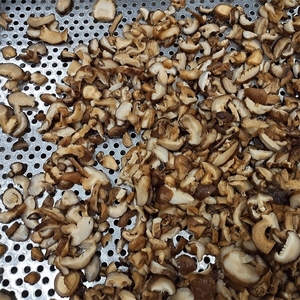 Nhà Máy nấm đóng hộ<span class=keywords><strong>p</strong></span> chuyên nghiệ<span class=keywords><strong>p</strong></span> và chất lượng cao - Product Image 1