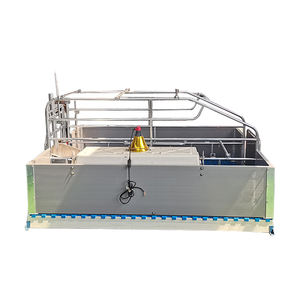 Jaula para Cerdas en Estado Nuevo, Jaulas de Parto para Cerdas, Jaulas de Maternidad para Cerdos - Product Image 3