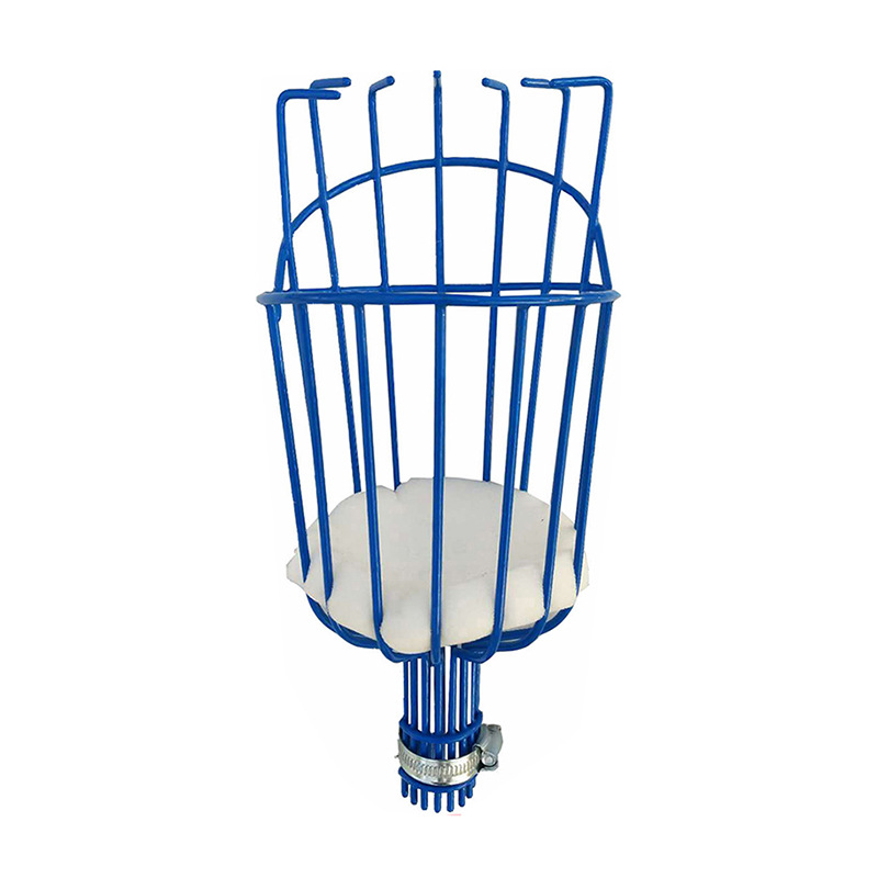 testa blu