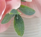 Ensemble de plantes d'orchidées artificielles-Décor de bureau avec pot en céramique blanche Cadeau Real Touch