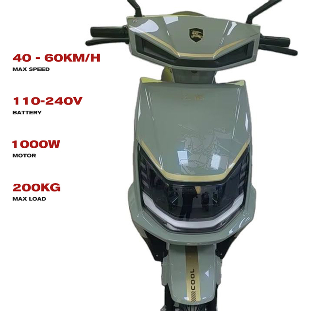 Powerful Electric Scooter 800W/1000W/1200w/1500w/2000w 2 Wheel High Speed Electric Scooter