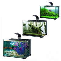 Aquarium en verre, équipement pour rehausser les poissons, à vendre
