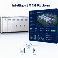 Batería de Almacenamiento de Energía LFP de 1MWh/1.6MWh/2MWh, Precio de Fábrica, Sistema de Energía Solar Renovable en Contenedor Refrigerado por Líquido de 10 pies para Exteriores