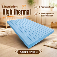 Panneau isolant en mousse XPS de haute qualité Style de design industriel pour application de cuisine de salle de bain murale en polystyrène