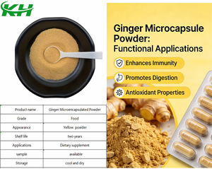 Suministros del Fabricante: Extracto de Raíz de Jengibre Soluble en Agua, Jengibre en Polvo con 20% de Capsulas, Jengibre en Polvo Microencapsulado. - Product Image 4