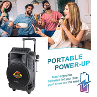 Enceinte de graves de grande taille de 12 pouces, boîte d'enceinte Hi-Fi, haute puissance pour karaoké, enceinte de fête, éclairage LED RVB, télécommande