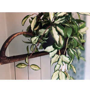 Colgador de madera con forma de maceta para flores, superventas - Product Image 5