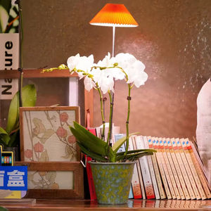 <span class=keywords><strong>Lampe</strong></span> de croissance LED moderne <span class=keywords><strong>avec</strong></span> diode 10w <span class=keywords><strong>Lampe</strong></span> de table pour petite plante à intensité variable <span class=keywords><strong>avec</strong></span> minuterie à hauteur réglable <span class=keywords><strong>Lampe</strong></span> de croissance LED pour <span class=keywords><strong>serre</strong></span> - Product Image 1