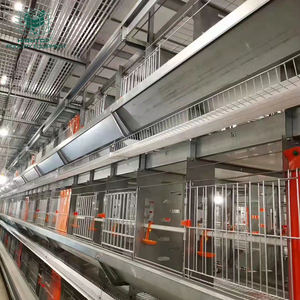 กรงเลี้ยงสัตว์ไก่แบบ H กรงแบตเตอรี่อัตโนมัติอุปกรณ์เลี้ยงสัตว์ปีก - Product Image 5