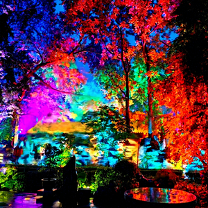 Projecteur LED pour arbres, étanche IP65, mobile, pour parcs, hôtels, jardins, centres de villégiature, cours, grands projets d'éclairage paysager - Product Image 5