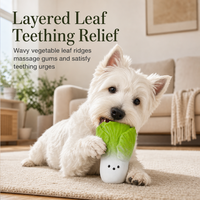 Jouet à mâcher pour chien en latex naturel écologique, mignon en forme de chou, jouet couineur pour la dentition des petits/moyens chiens, utilisation intérieure/extérieure, boîte
