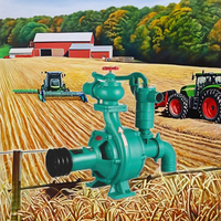Pompe à eau pour moteur diesel de 4 pouces Pompe de surpression en fer pour irrigation Vente en usine pour eaux usées