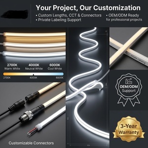 S Shape 480LEDs/m COB LED Strip <b>Light</b> 24V IP67 Waterproof Silicone <b>Neon</b> Flex COB LED Strip for Linear Logo <b>Sign</b> - Product Image 3