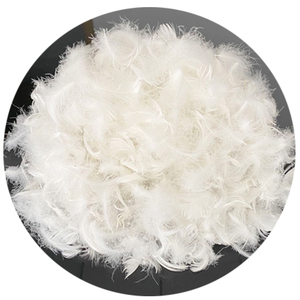 Pluma de ganso blanca lavada, almohada de plumas, Incerts, alta calidad, RDS - Product Image 1