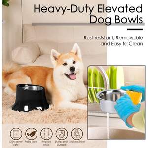 Soporte elevado para tazón de perro, 2.5 tazas, antideslizante, duradero, para perros medianos - Product Image 3