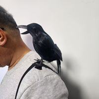 Décoration d'Halloween en fausses plumes de corbeau noir à porter sur l'épaule, faite à la main