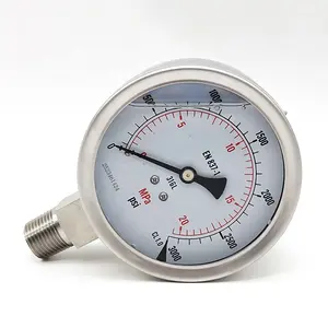 Wholesale Pointer Pressure Analog Manometer 60MM 100MM Precision Pressure Gauge