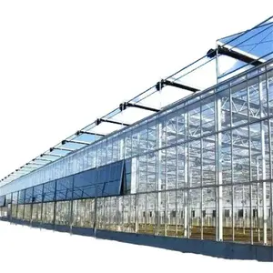 Прямые продажи с завода, интеллектуальная стеклянная теплица большого размера с гидропонной системой выращивания