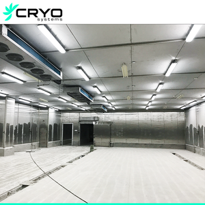 Phòng lạnh lớn và thiết thực cho các ứng dụng khác nhau phòng đông lạnh đi bộ hiệu quả trong phòng lạnh - Product Image 2