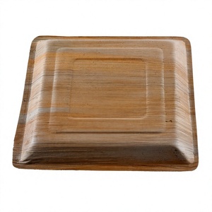 Assiette carrée en papier jetable 10 x 10 pouces pour spaghetti et salade, idéale pour la restauration - Product Image 3