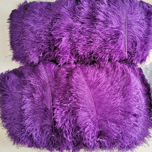 Bán buôn Trang Trí Số Lượng Lớn 55-60cm Giá Rẻ màu đen và Đầy Màu Sắc nhân tạo Deco lông đà điểu tự nhiên Đà Điểu lớn lông - Product Image 2