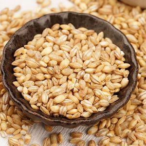بذور الشعير المجففة لتغذية الحيوانات نوع من العشب المغذي - Product Image 2