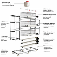 Cage à poulets automatique commerciale de type H, nouvelle génération, à 4 niveaux, empilable, en acier galvanisé, système d'élevage avicole