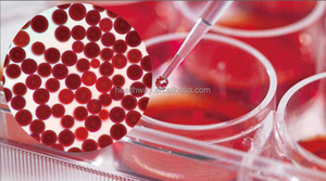 高品質アスタキサンチン5% アスタキサンチン粉末 藻類アスタキサンチン原料粉末 - Product Image 3