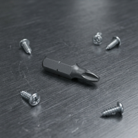 Embouts de tournevis forgés PH2 de 25 mm (1/4H) pour cloisons sèches, OEM, sablés, à pointe magnétique, pour bricolage