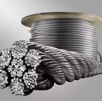 6x36 Galvanizli Çelik Halat 30mm - 40mm Çapında Yüksek Çekme Dayanımlı Kaldırma Halatı Satılık