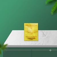 Patchs Détoxifiants pour les Pieds 10 Pièces par Boîte, Patchs au Gingembre et au Sel pour les Pieds, Tampons Nettoyants Corporels pour la Relaxation et le Bien-être, Marque Privée OEM