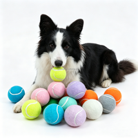 Balle de tennis interactive personnalisée et colorée pour chien, avec possibilité d'ajouter un logo de marque, vente en gros, balles de tennis personnalisées pour chiens