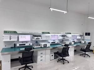 <strong>Bench</strong> Top Desk Top Efficient Pressure Calibration Comparator Pressure Gauges Modular Streamline Testing Electric <strong>Test</strong> <strong>Bench</strong> - Product Image 5