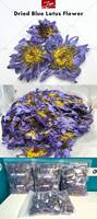 Thé en sachets de fleurs de lotus bleues séchées fermentées 100 % naturelles, marque privée OEM
