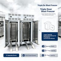 Aquatische verwerking driedeurs snelvriezer -80°C ℃   Tray Plug Type Snelvriezer Verstelbare voeding Standaard