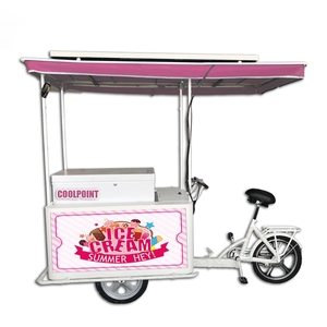 Triciclo Solar para Helados con Panel Solar y Refrigerador, 12V/24V CC, OEM ODM, para Pasajeros y Carga, con Certificación EEC DOT - Product Image 5