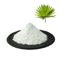 Extrait de baies de palmier nain en gros, 25 % d'acides gras totaux en poudre, extrait de Serenoa Repens