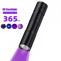 Lampe UV rechargeable 365 nm, lampe de Woods à lumière noire USB pour la détection de fausse monnaie, d'urine d'animaux, de minéraux, de roches et de fuites de climatisation