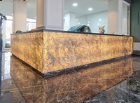 Comptoir de bar Stonemarkt moderne en pierre naturelle translucide, résistant aux acides, rétroéclairé par LED, écologique et étanche pour restaurant et maison
