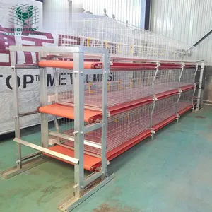 H Type Poultry Automatic Big Chicken Broiler Cages Equipment Sale With 500 Chickens