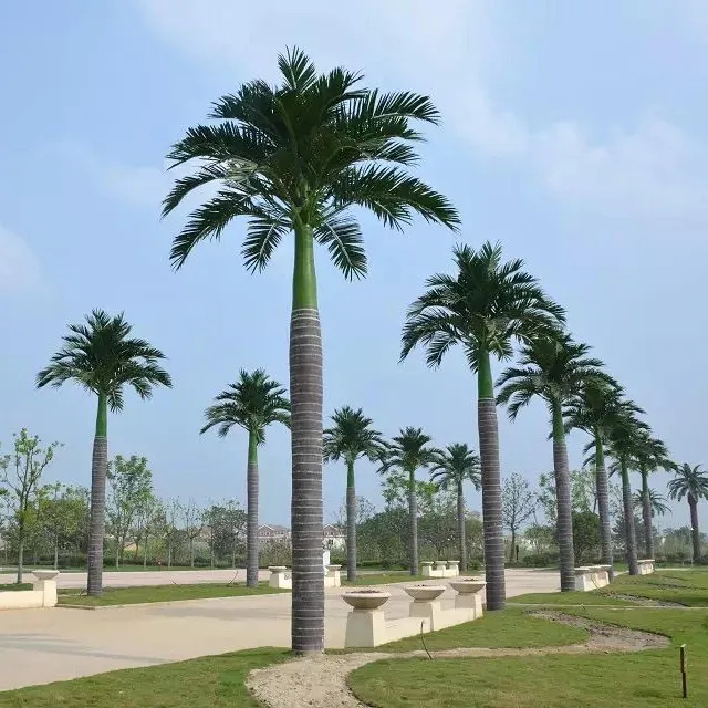 Custom made 6.3m coconut palm tree plants fiberglass artificial date palm 3meter palm trees indoor