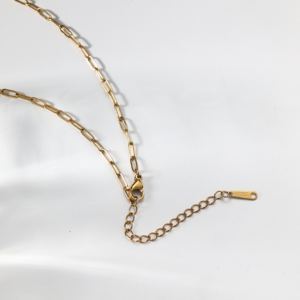 Collar Personalizado de Acero Inoxidable con Baño de Oro de 18K, con Flor Real en Forma de Trébol y Piedra de Nacimiento, Regalo de Cumpleaños - Product Image 4