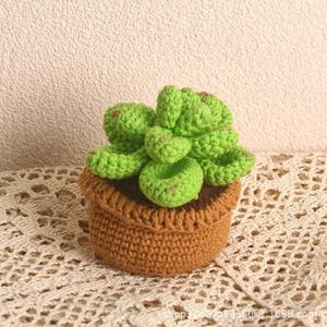 Productos de algodón peinado personalizados, decoraciones interiores de suculentas lindas y eternas, ganchillos creativos para decoración de plantas verdes. - Product Image 5