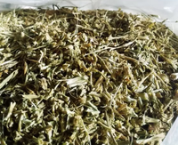Poudre de feuilles d'Ashitaba naturelle en vrac, poudre d'angélique Keiskei en gros