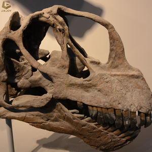 Cráneo de dinosaurio de tamaño real SGSK16, réplica de <span class=keywords><strong>Esqueleto</strong></span> de <span class=keywords><strong>Triceratops</strong></span> hecho a mano - Product Image 5