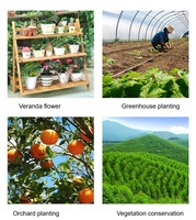 Humidimètre de sol haute précision 1 %, plage de 10 % à 90 % HR, capteur à aiguille unique, affichage à cadran, garantie 12 mois pour l'agriculture