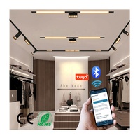 Spot mobile encastré noir à 2 fils, Spot caché, Commercial, linéaire, réglable, Led, éclairage sur rail magnétique, système d'éclairage