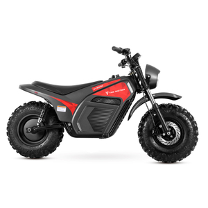 Tao Motor 2025 Nouvelle Moto Tout-Terrain Adulte 60V 2000W à Pneus Larges - Product Image 5
