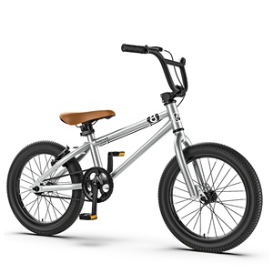 Petit Vélo <span class=keywords><strong>BMX</strong></span> 20 Pouces Monovitesse avec Potence d'Entraînement Américaine pour la Pratique du Freestyle, l'Entraînement aux Sauts Urbains en Hiver, Europe États-Unis - Product Image 1